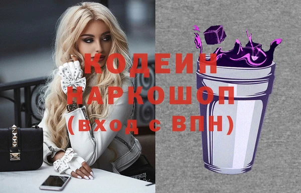 скорость Бородино