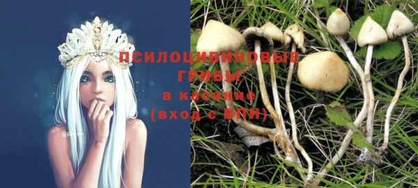 ALPHA PVP Верхний Тагил