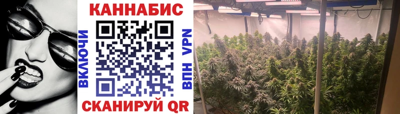 Каннабис семена  Киреевск 